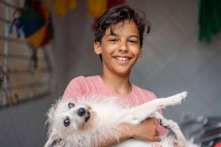 1725341156928371.jpg Brazilians treat pets.jpg