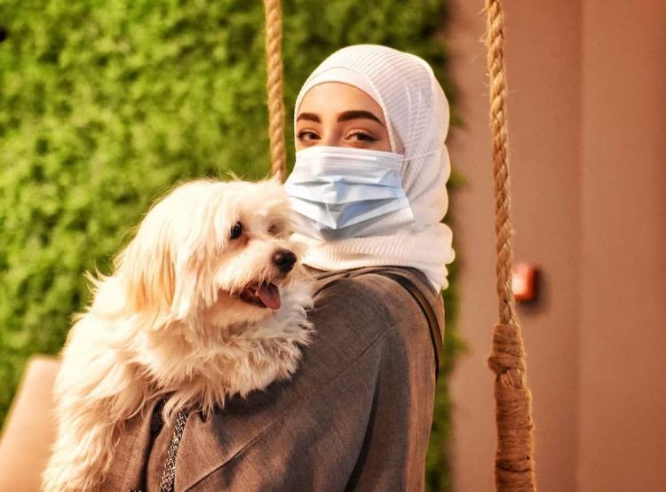 1725860964908731.jpg Middle East dog2.jpg